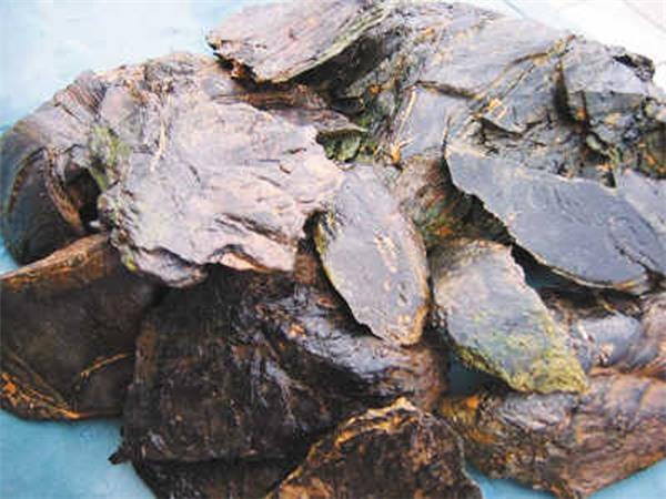 油頁巖